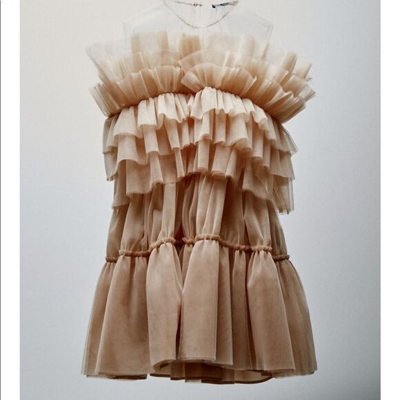 Zara NYC ballet tulle dress limited edition - Picture 7 of 8